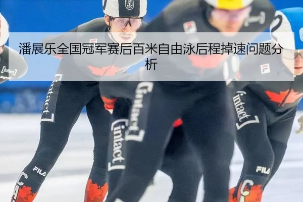 pan-zhan-le-quan-guo-guan-jun-sai-hou-bai-mi-zi-you-yong-hou-cheng-diao-su-wen-ti-fen-xi-2-384.jpg